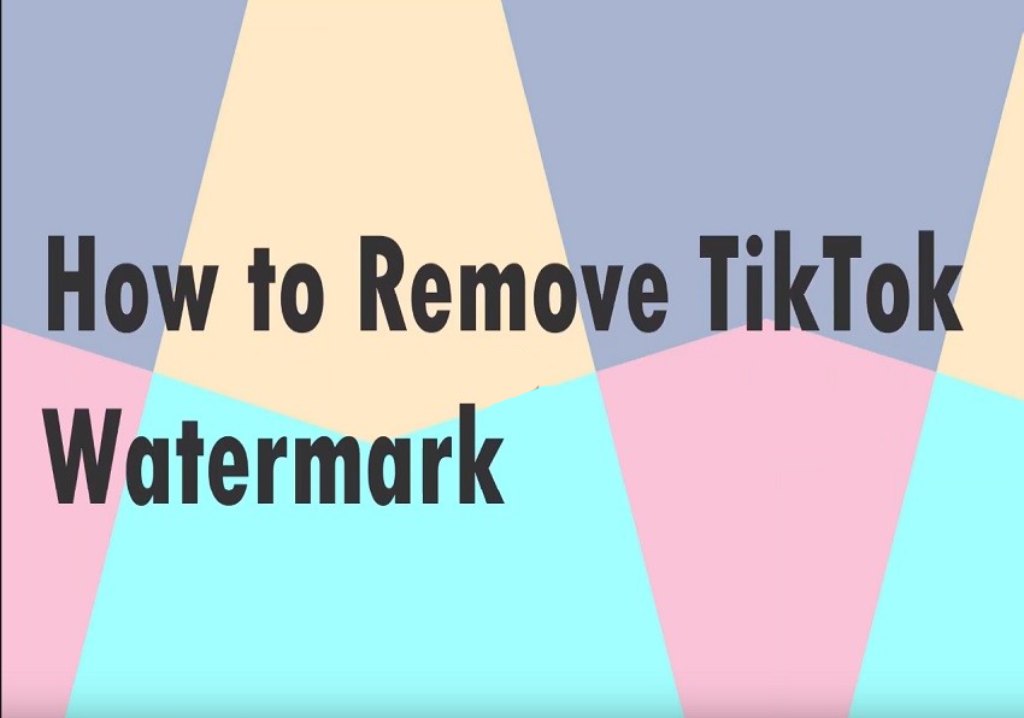 How to Remove a Watermark from a TikTok Video, Here is the Ultimate Guide